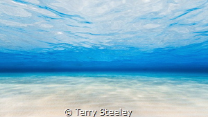 'You can shake the sand from your shoes, but not your soul!' by Terry Steeley 